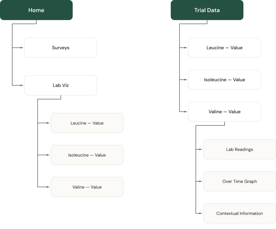 Information architecture
